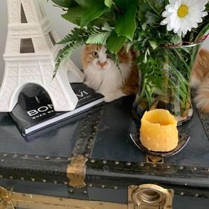 Meet your Posher, Deb